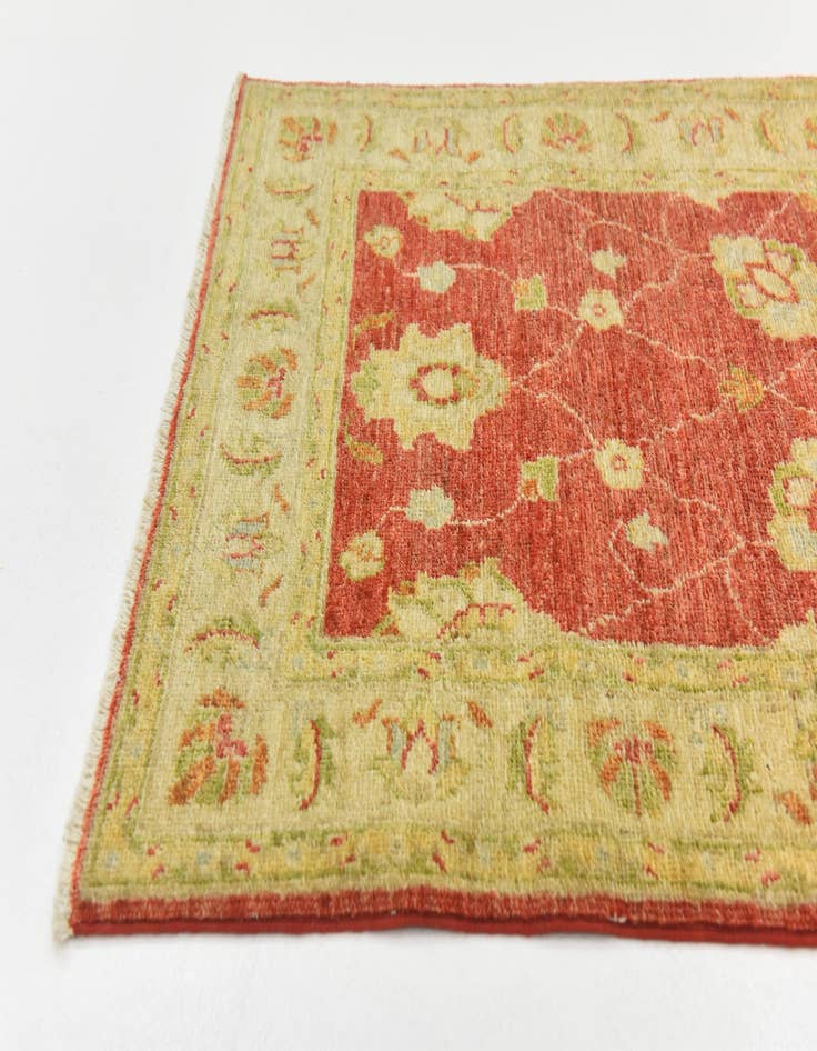 Detail image of  2' 4 x 10' 3  Hand Knotted Peshawar Ziegler Runner Rug