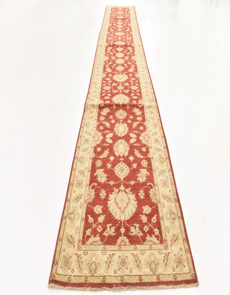 Detail image of  3' x 16' 7  Hand Knotted Peshawar Ziegler Runner Rug