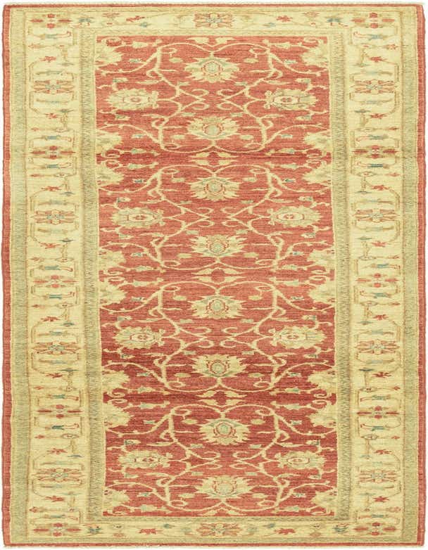A 10 ft red runner rug with a cream botanical and floral pattern, ideal for a hallway.