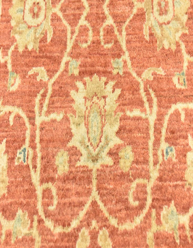 Detail image of  2' 9 x 9' 9  Hand Knotted Peshawar Ziegler Runner Rug