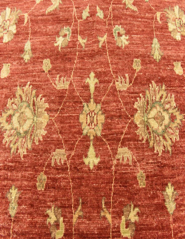 Detail image of  4' 10 x 19' 3  Hand Knotted Peshawar Ziegler Runner Rug