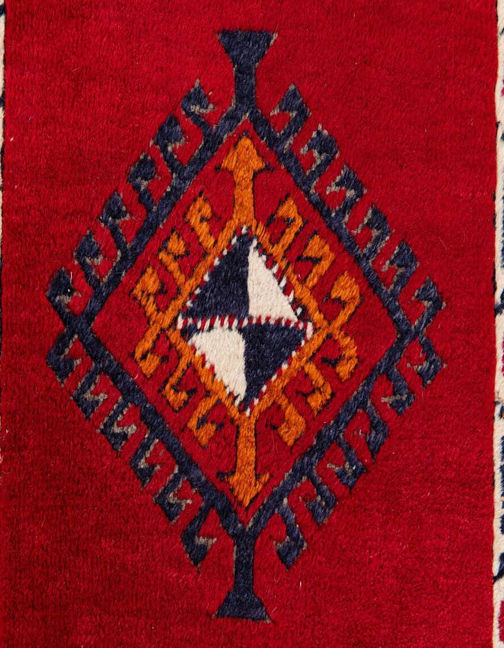 Detail image of  2' 7 x 9' 10  Hand Knotted Shiraz Wool Runner Rug