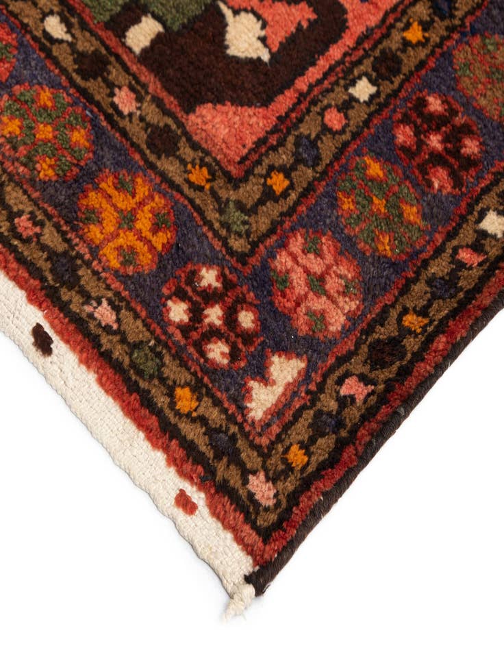 Detail image of  3' 5 x 9' 6 Zanjan Runner Rug