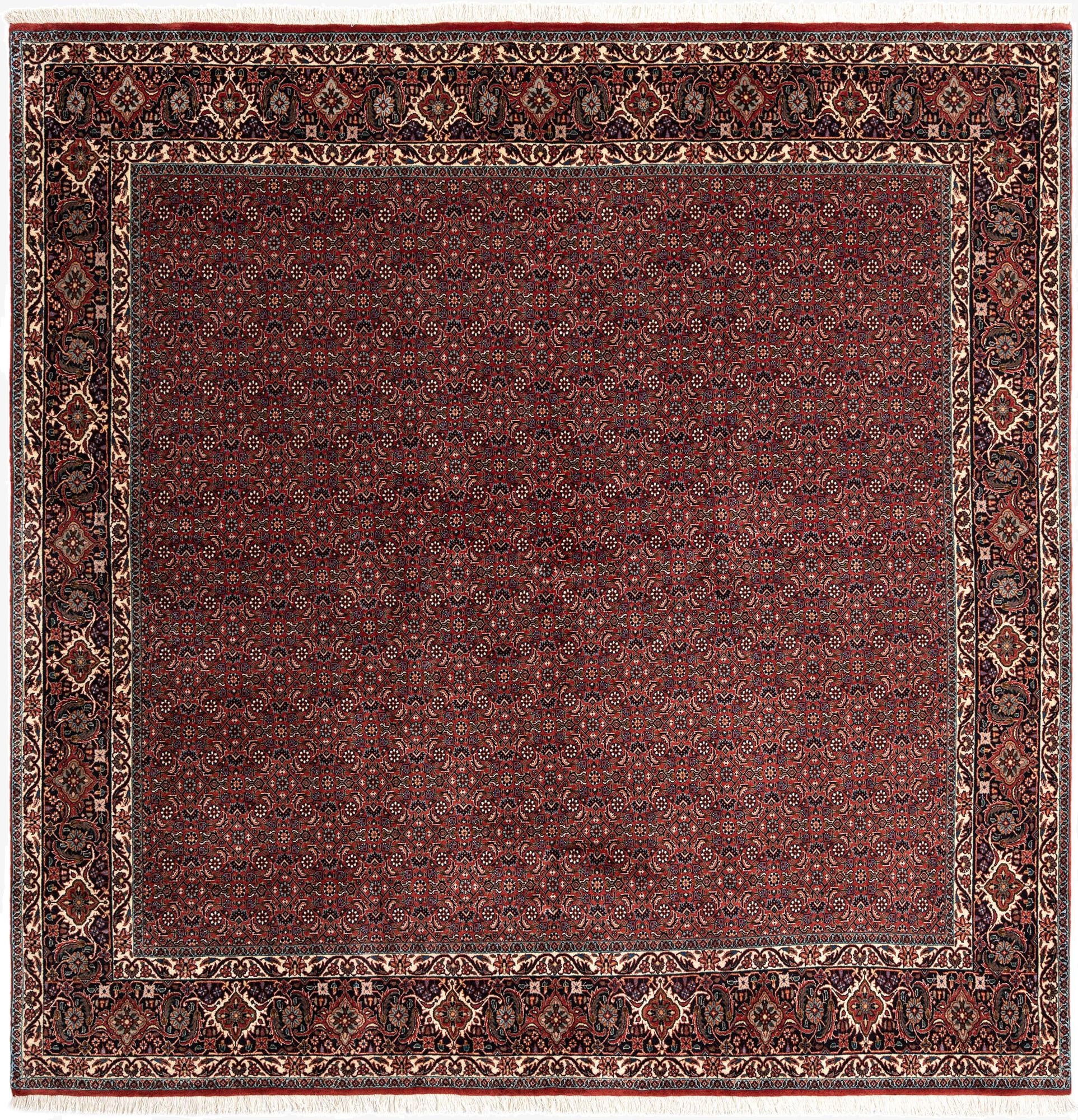  8' 2 x 8' 3 Bidjar Wool Square Rug