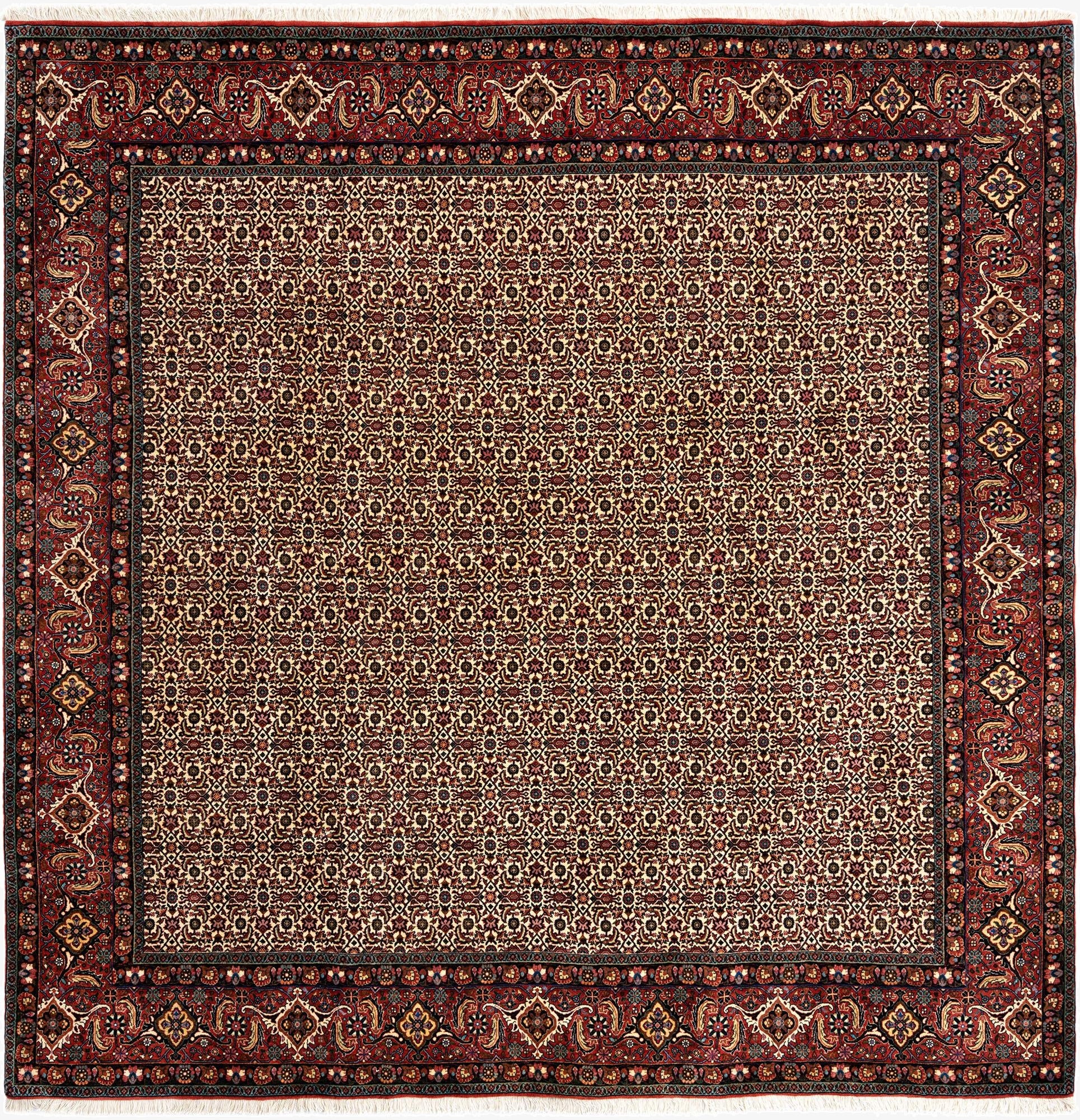  8' 5 x 8' 6 Bidjar Wool Square Rug