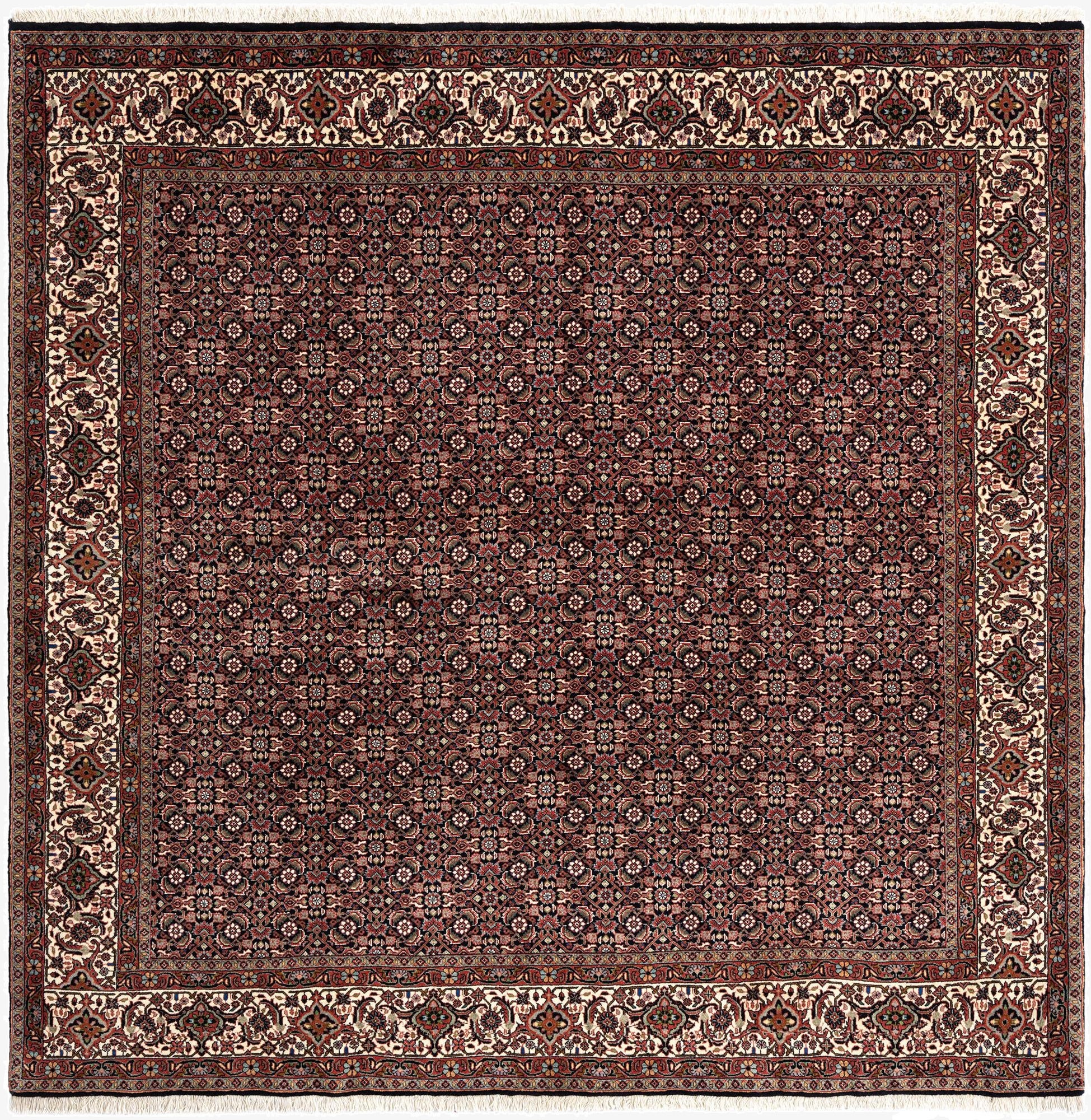  6' 9 x 6' 9 Bidjar Wool Square Rug