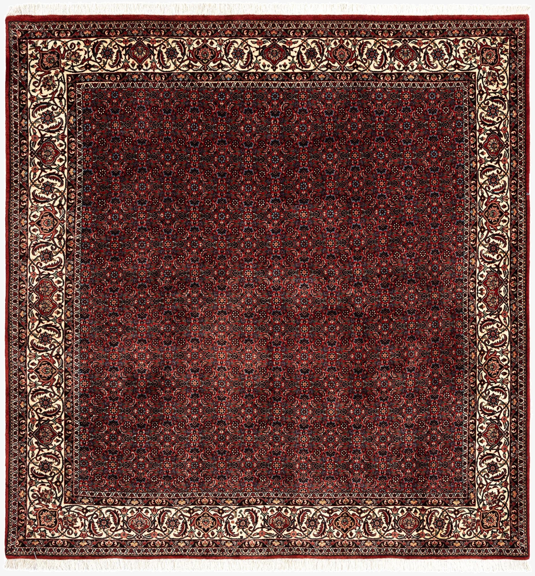  6' 8 x 6' 10 Bidjar With Silk Square Rug