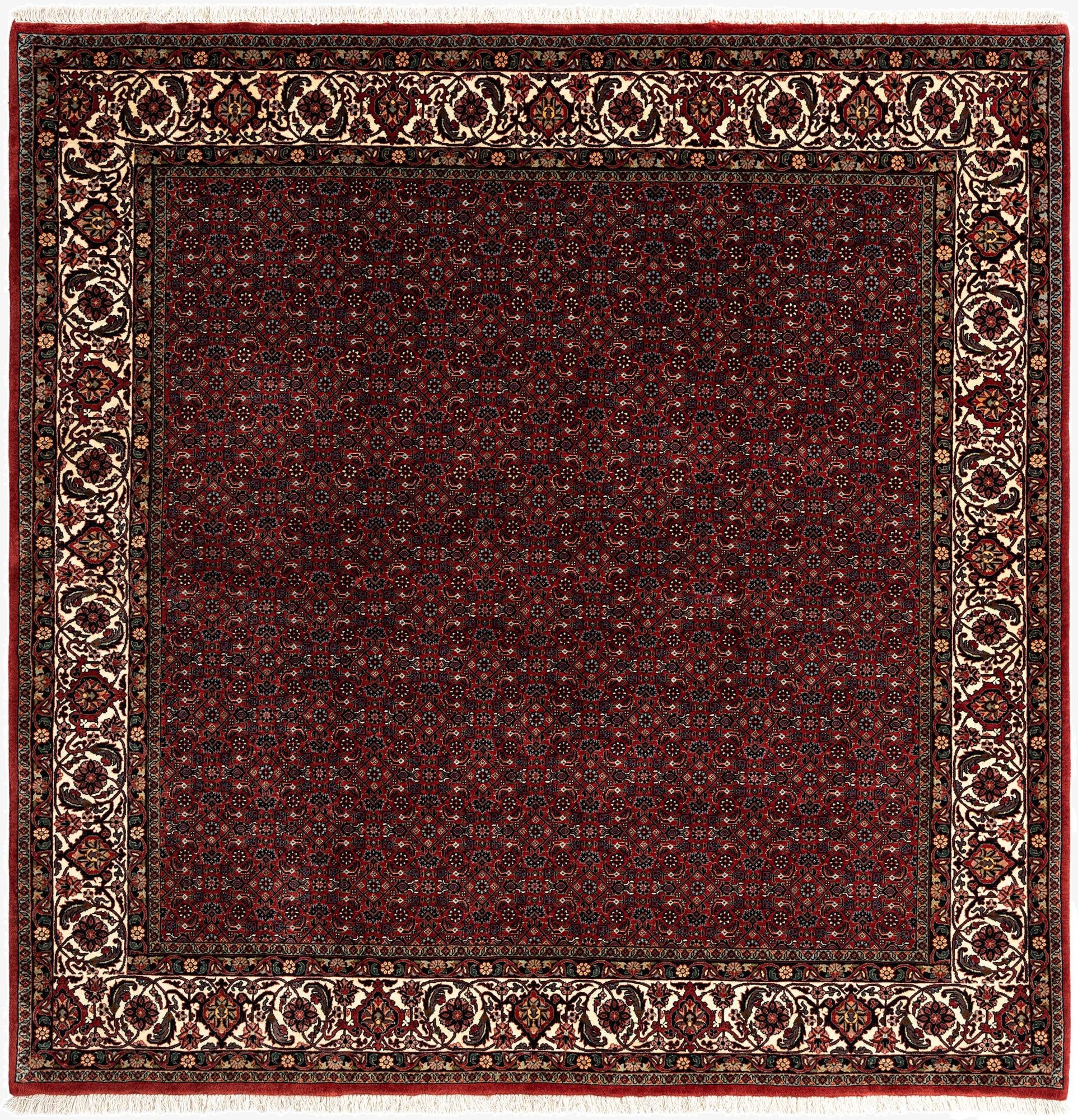  6' 9 x 6' 10 Bidjar With Silk Square Rug