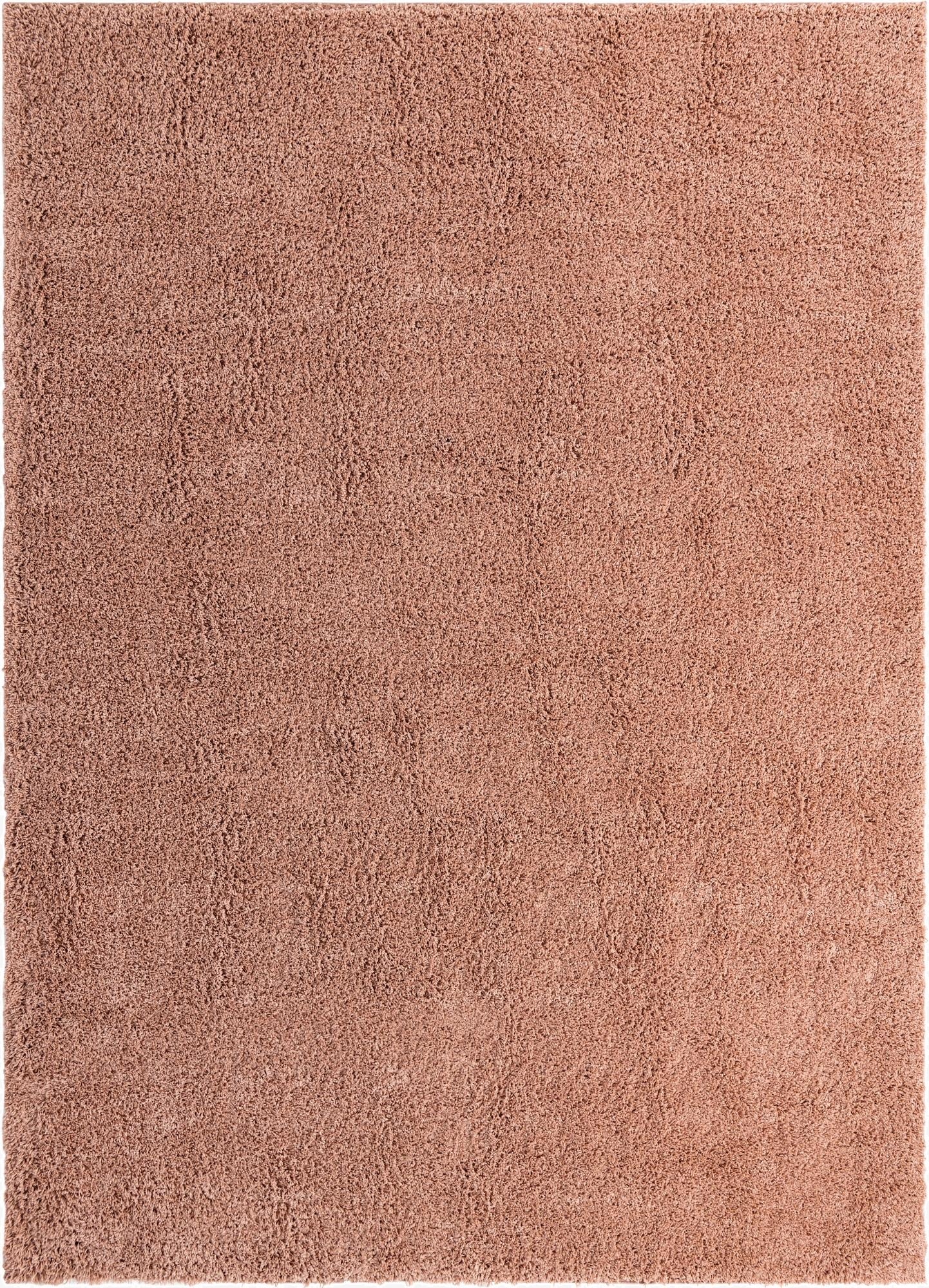  10' x 14' Everyday Shag Rug
