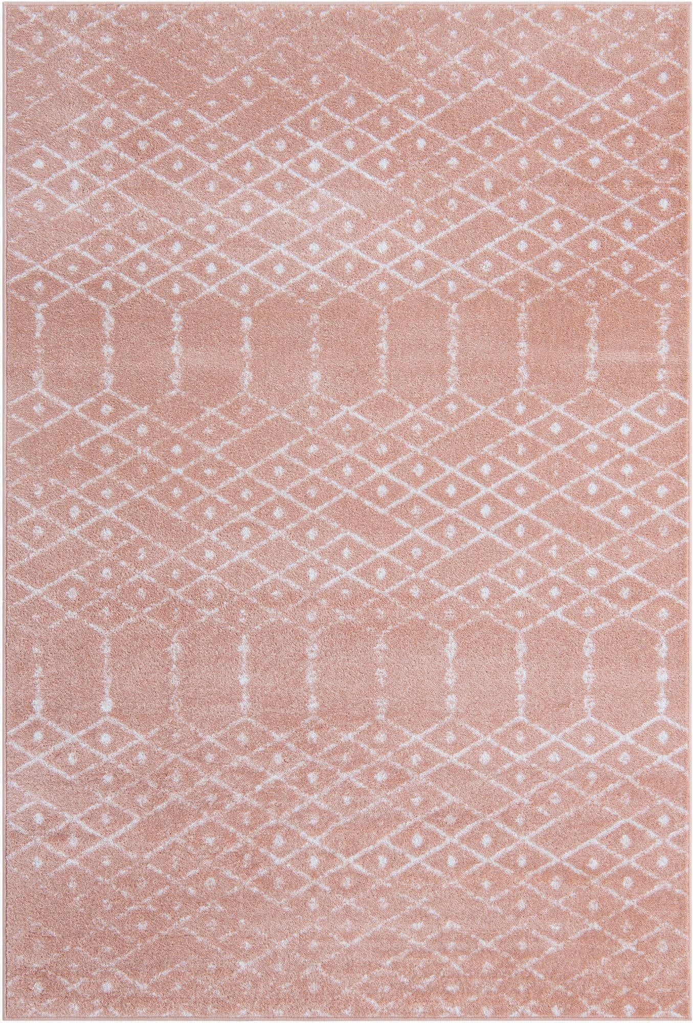  4' x 6' Paxon Trellis Rug
