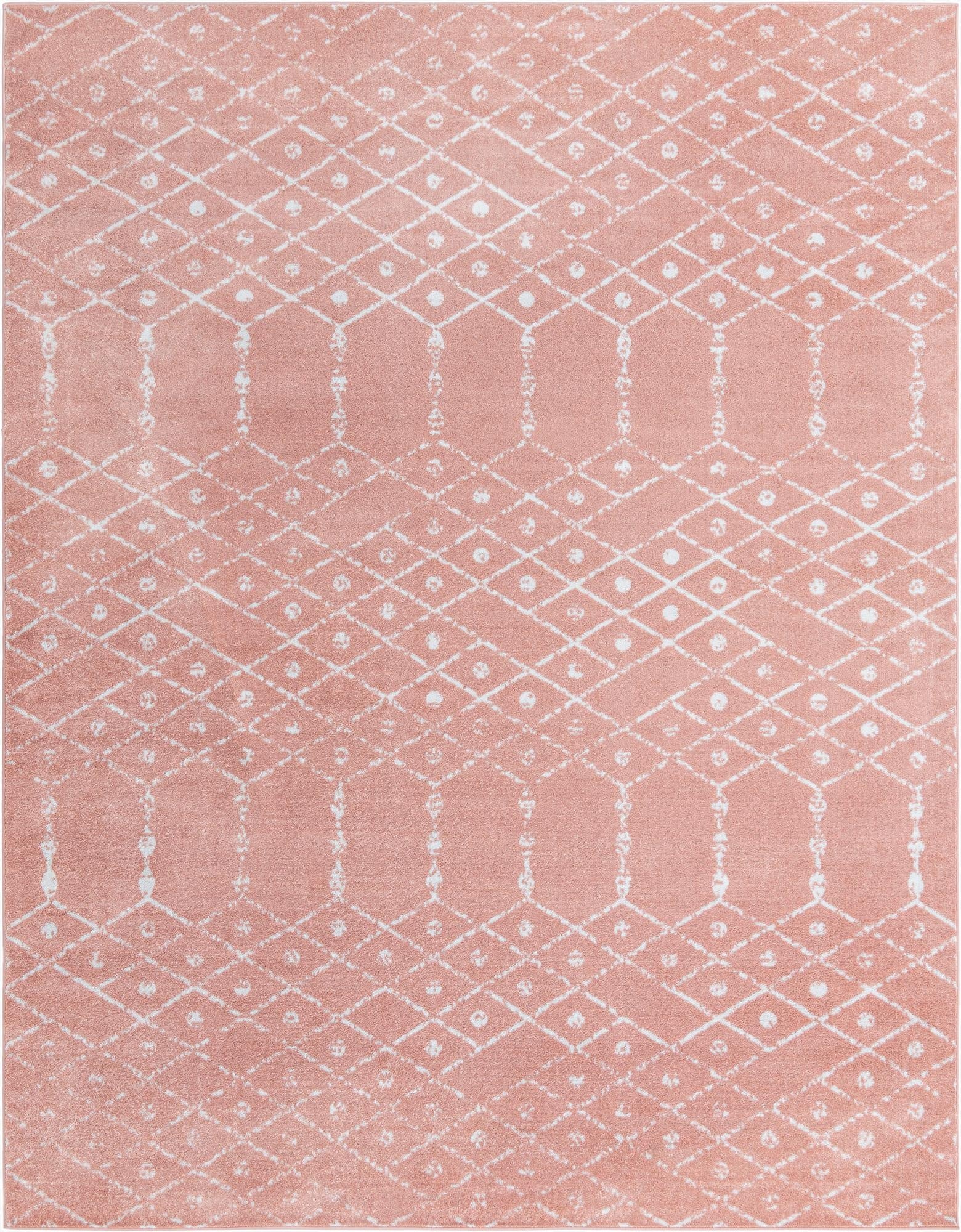  10' x 13' Paxon Trellis Rug