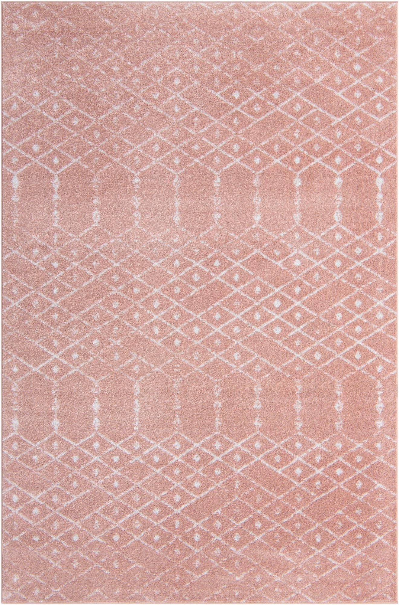  6' x 9' Paxon Trellis Rug