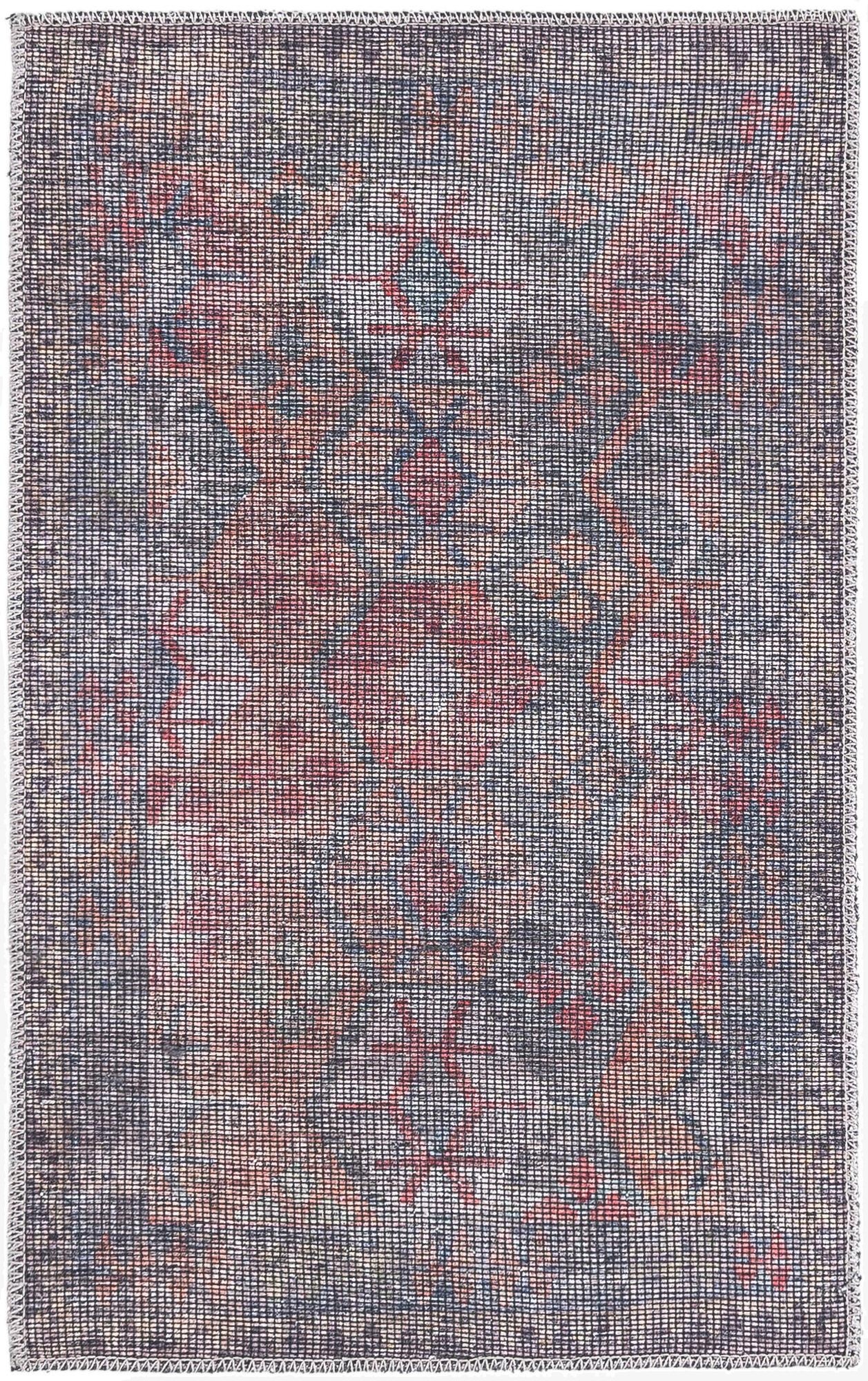 2' x 3'  Washable Sisu Rug