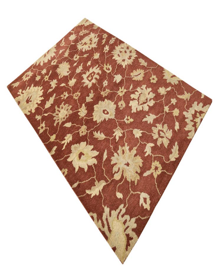 Detail image of  5' x 7' 10 Agra Rug