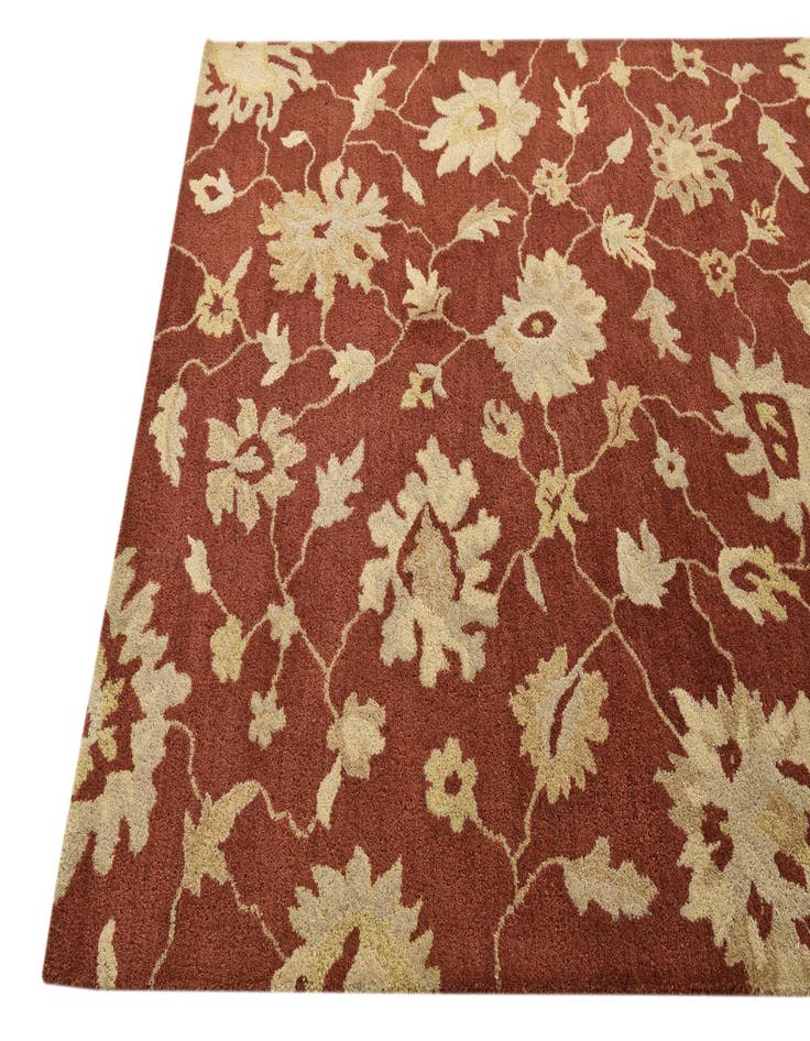 Detail image of  5' x 7' 10 Agra Rug