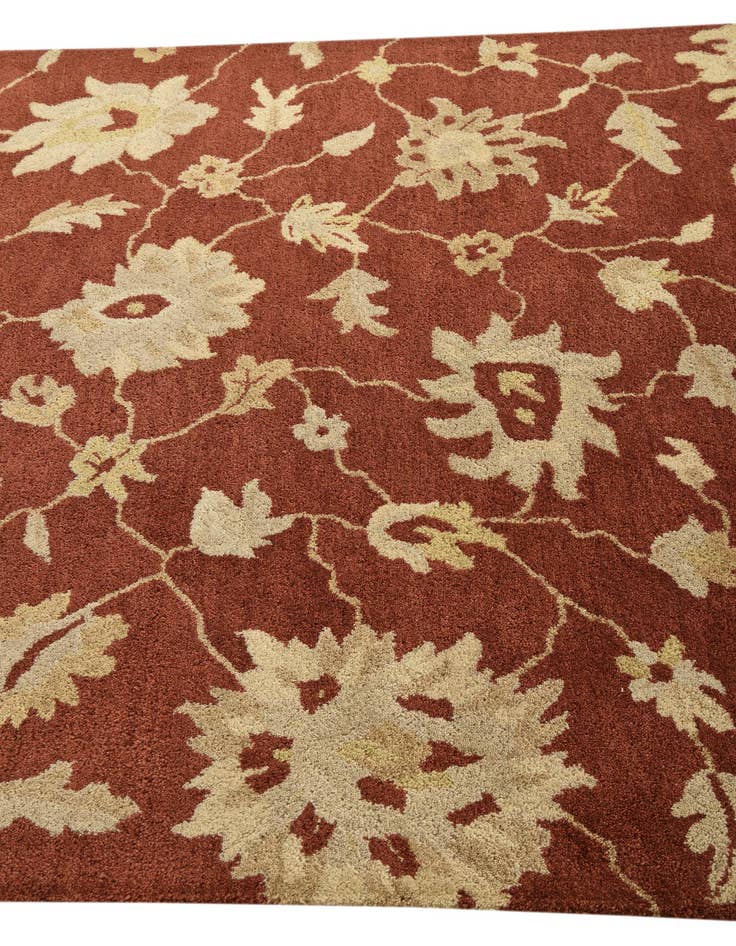 Detail image of  5' x 7' 10 Agra Rug