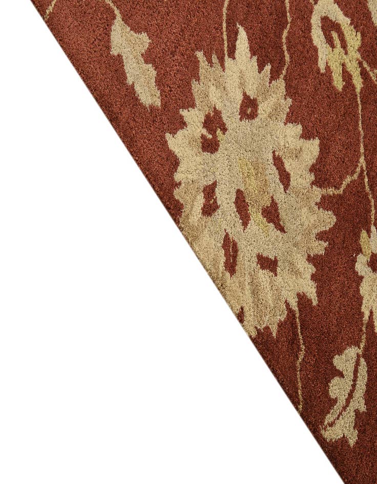 Detail image of  5' x 7' 10 Agra Rug