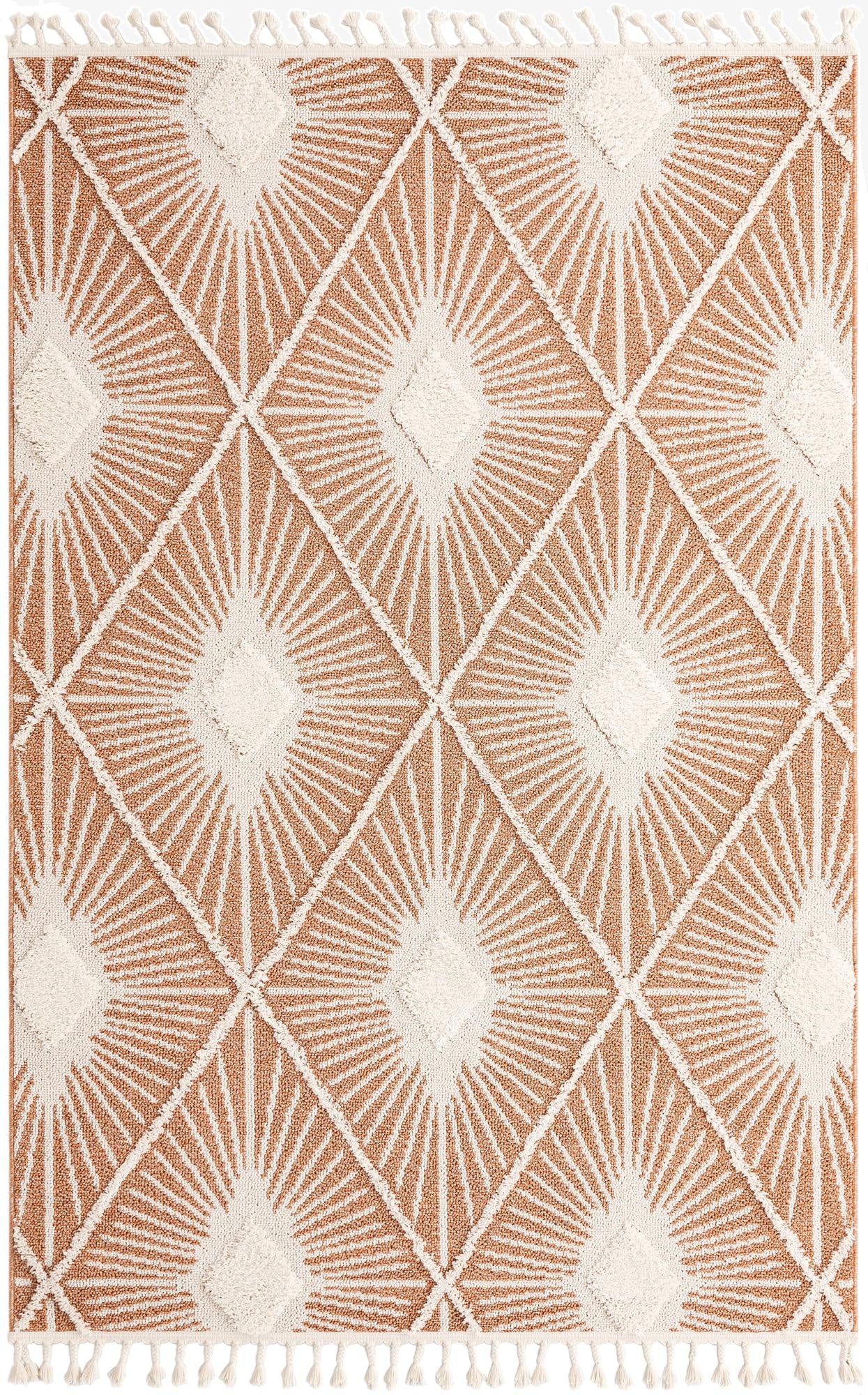  6' x 9' Boho Rug