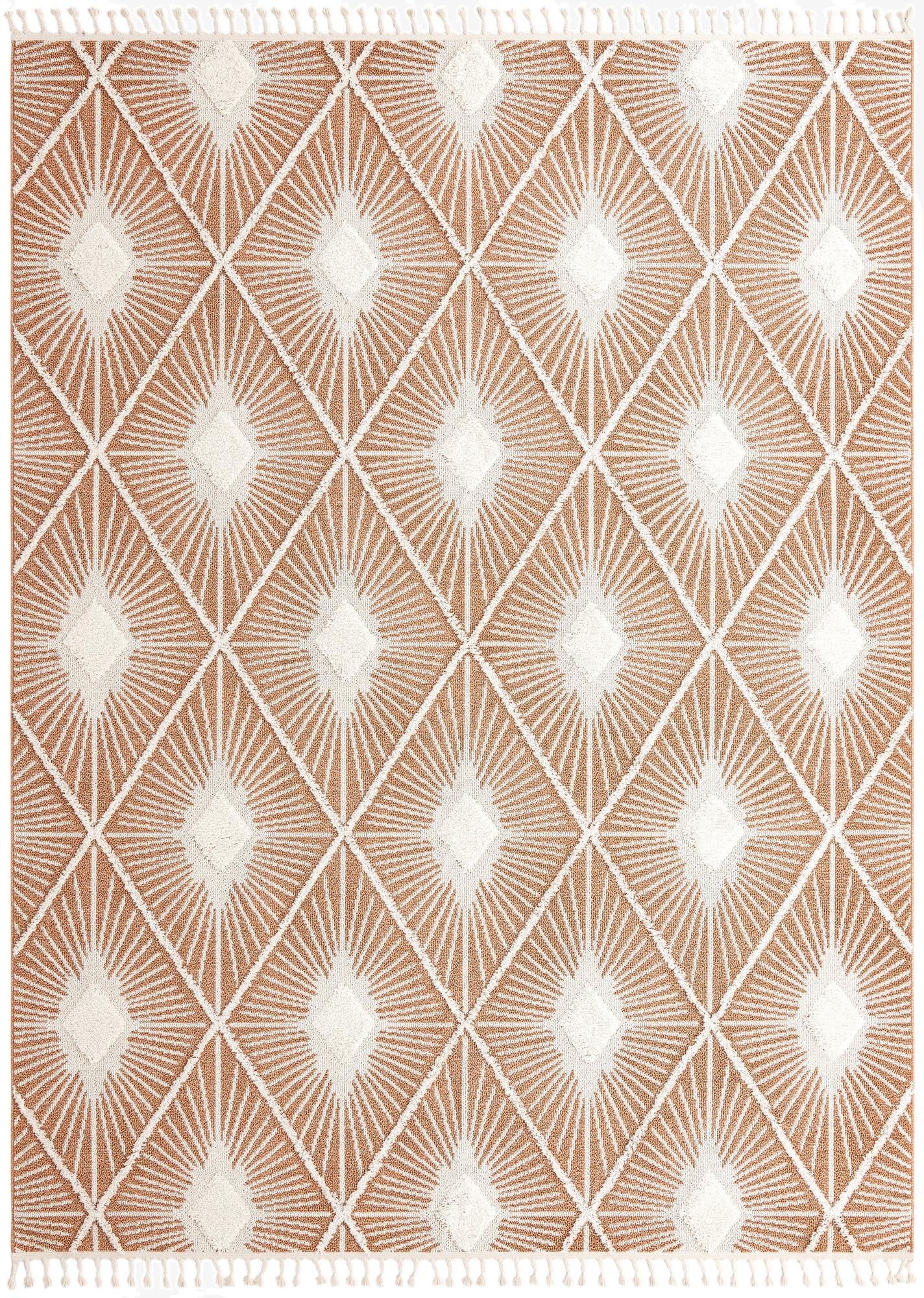  10' x 13' Boho Rug