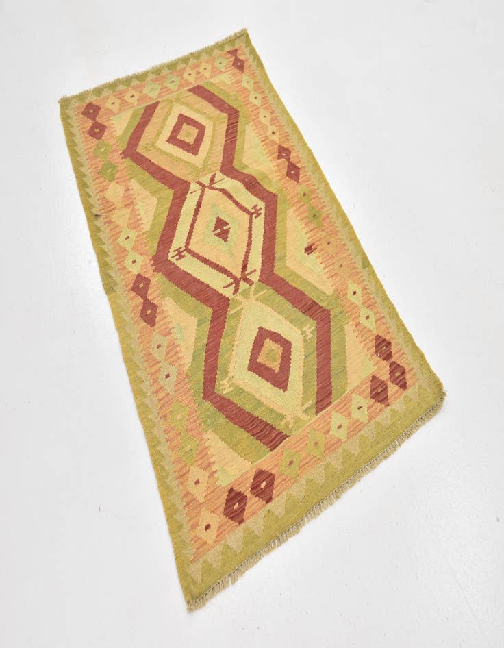 Detail image of  2' 9 x 4' 3  Hand Woven Kilim Waziri Wool Rug