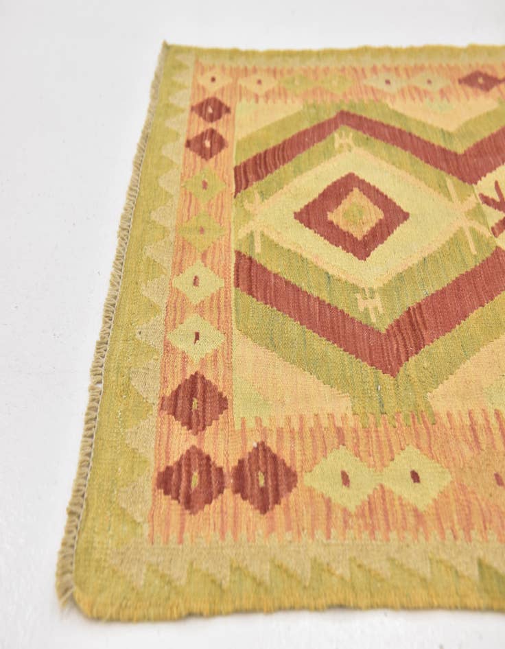 Detail image of  2' 9 x 4' 3  Hand Woven Kilim Waziri Wool Rug