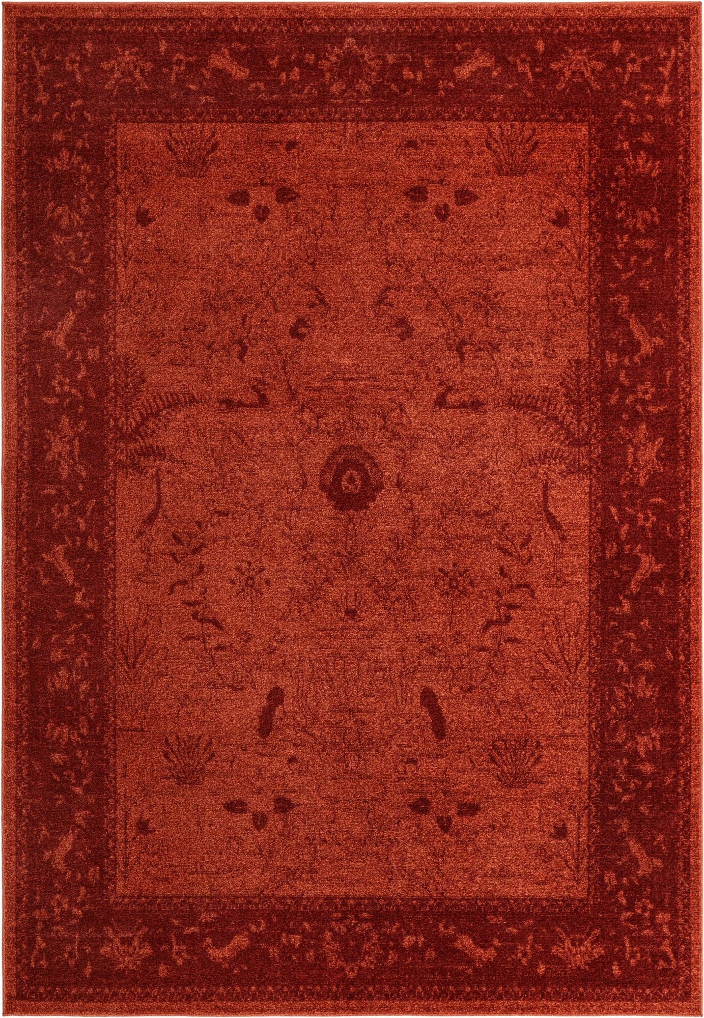  7' x 10' Miranda Rug