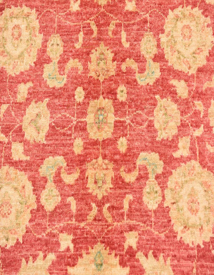 Detail image of  4' 2 x 5' 6  Hand Knotted Peshawar Ziegler Rug
