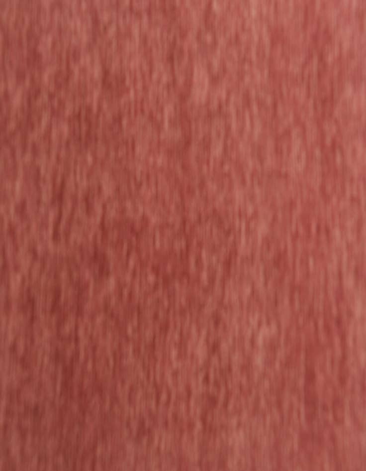 Detail image of  3' 2 x 5' 6  Hand Knotted Ziegler Oriental Wool Rug