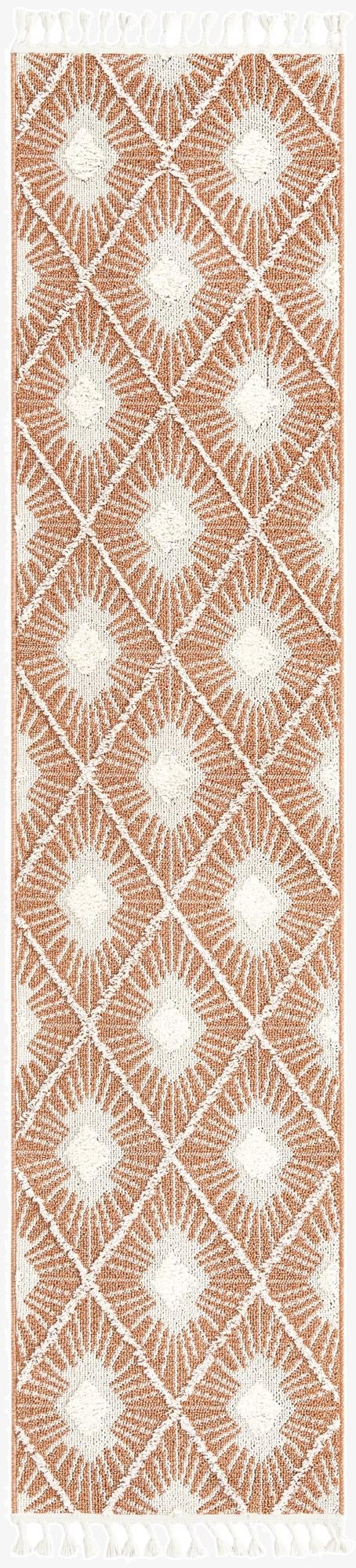 2' 7 x 12' Boho Runner Rug