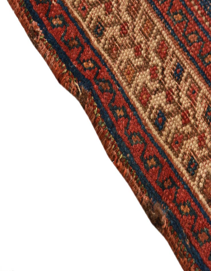 Detail image of  5' 1 x 6'  Hand Knotted Shiraz Persian Wool Square Rug