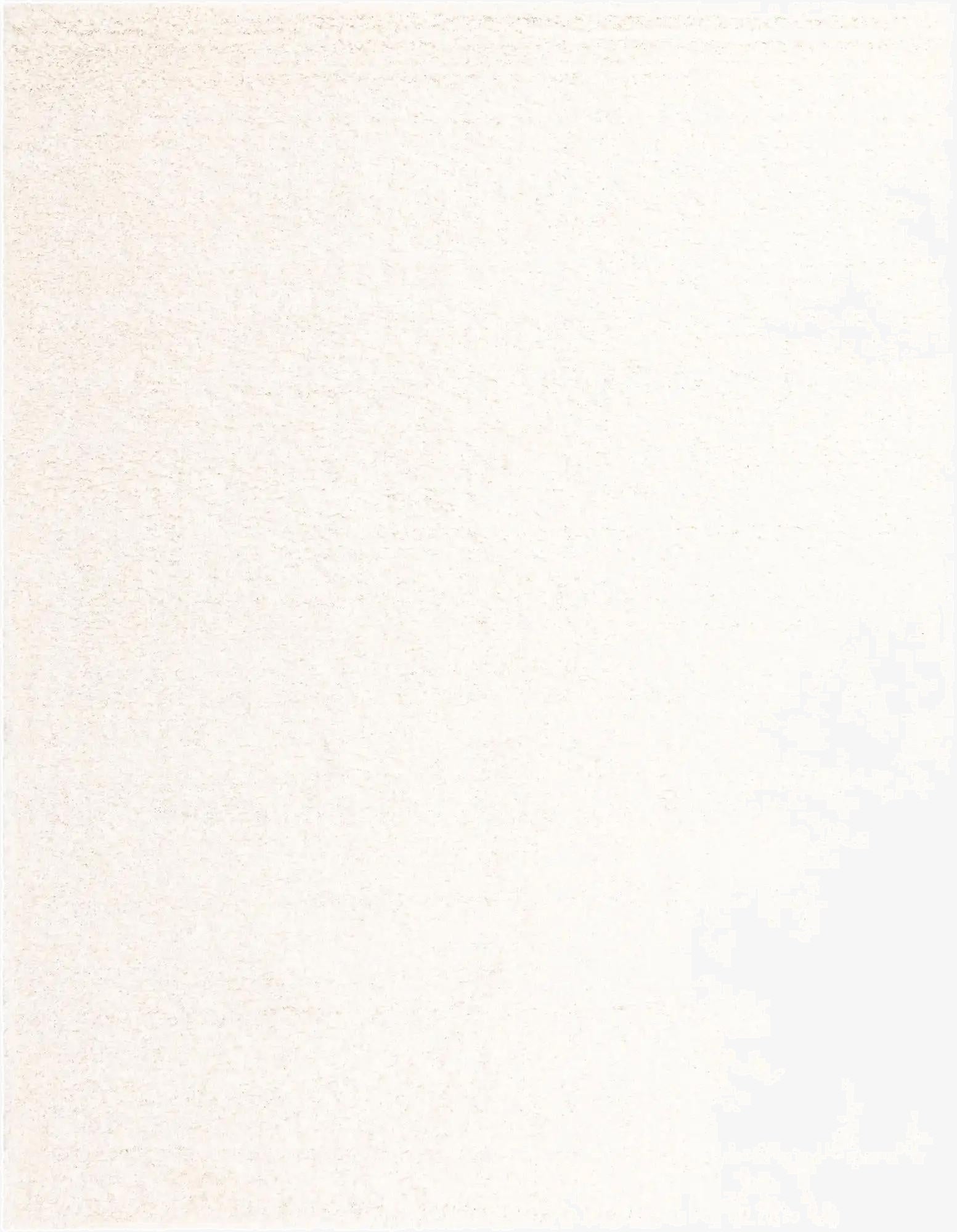  10' x 13' Solid Shag Rug