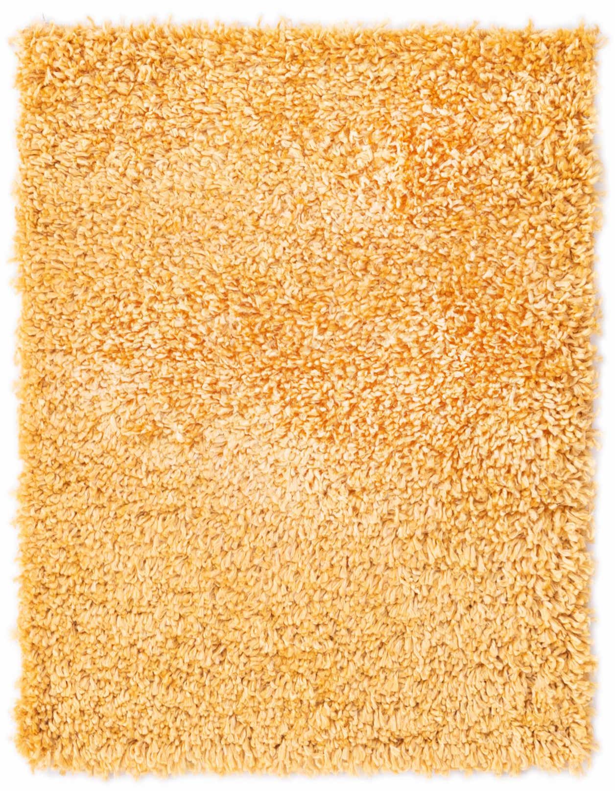 Primary image  2' 2 x 3' Zermatt Shag Rug