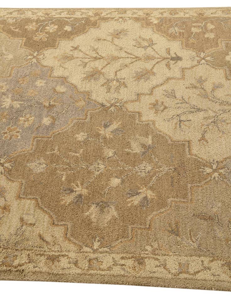 Detail image of 5' x 7' 10 Agra Rug
