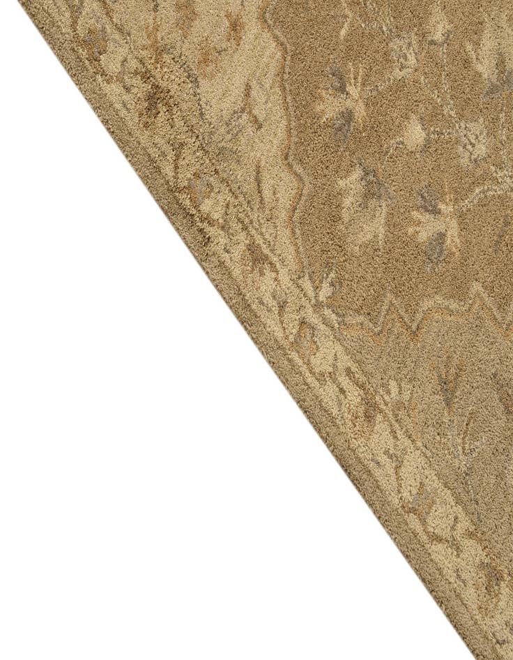 Detail image of 5' x 7' 10 Agra Rug