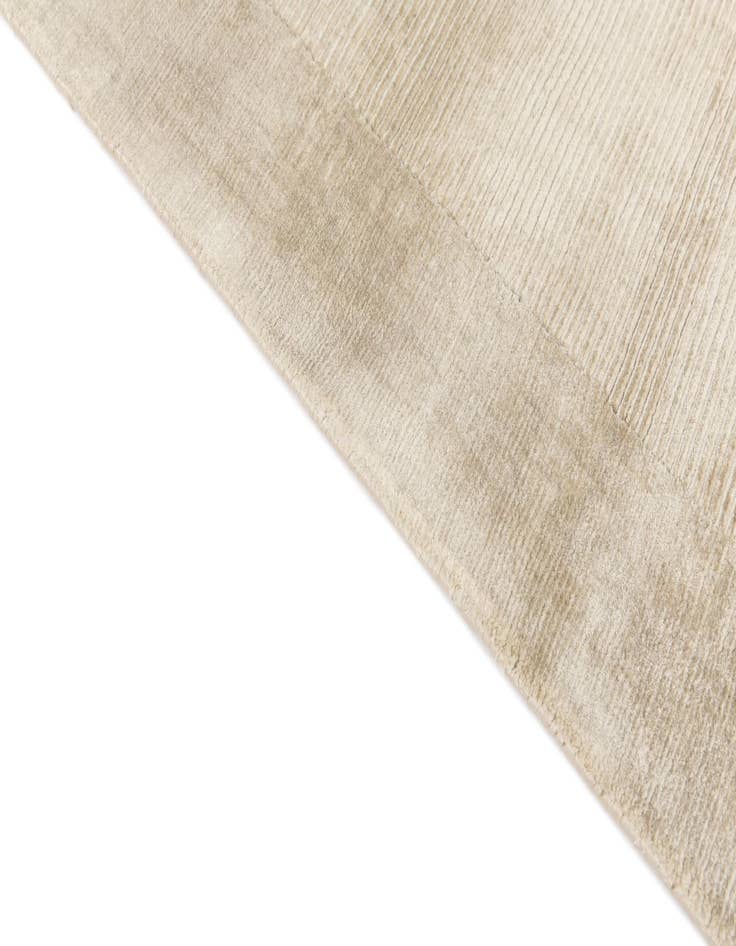 Detail image of  2' 8 x 5' 1  Hand Knotted Darya Wool Rug