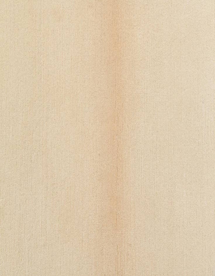 Detail image of  3' x 4' 10  Hand Knotted Darya Wool Rug