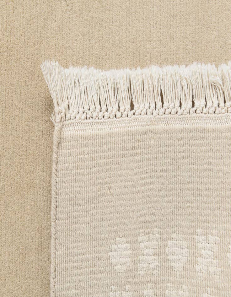 Detail image of  2' 7 x 4' 11  Hand Knotted Darya Wool Rug