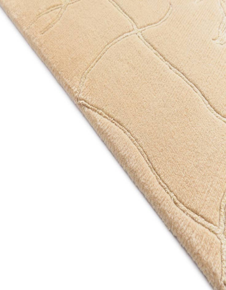 Detail image of  4' 9 x 6' 7  Hand Knotted Darya Wool Rug