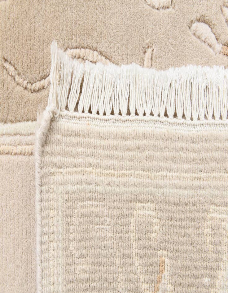 Detail image of  2' 9 x 5' 1  Hand Knotted Darya Wool Rug