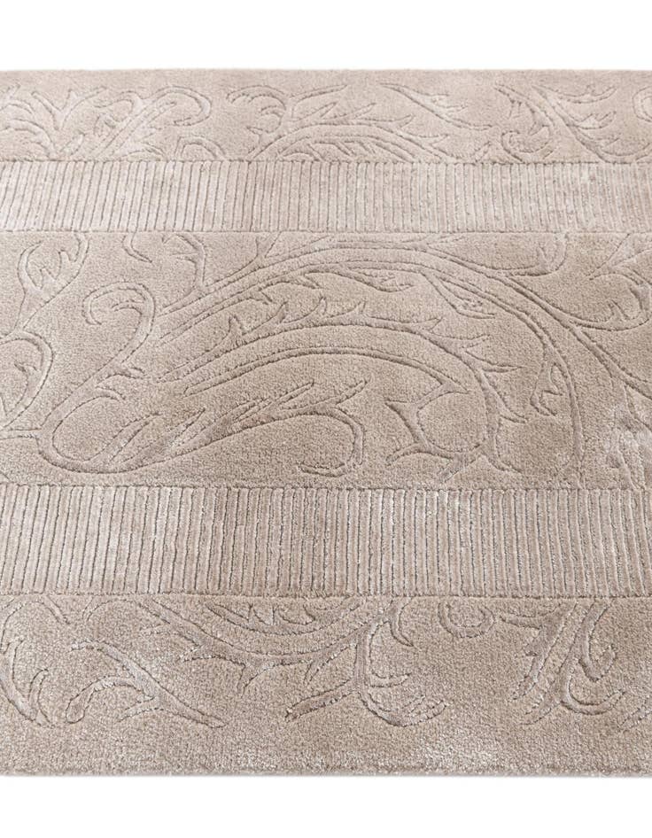 Detail image of  2' 8 x 5'  Hand Knotted Darya Wool Rug