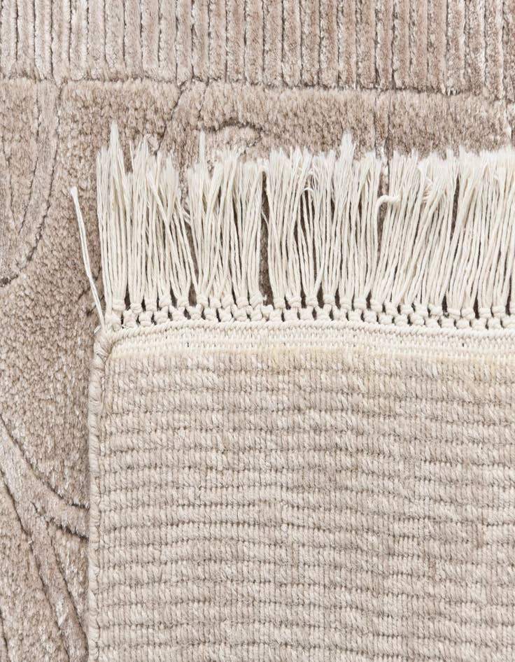 Detail image of  2' 8 x 5'  Hand Knotted Darya Wool Rug