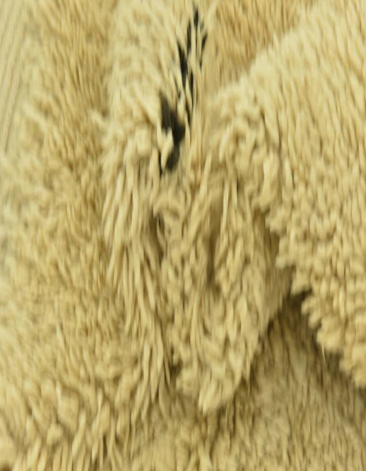 Detail image of  6' 2 x 9' 10  Hand Knotted Moroccan Wool Rug