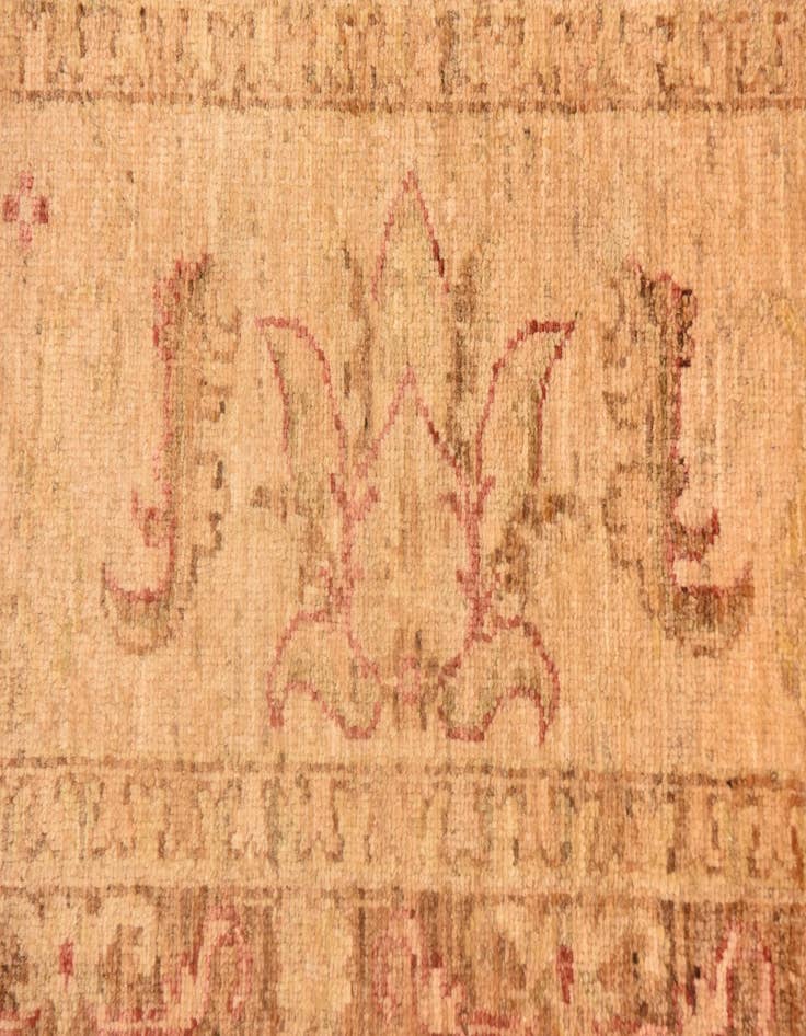 Detail image of  8' 2 x 9' 7  Hand Knotted Peshawar Ziegler Rug