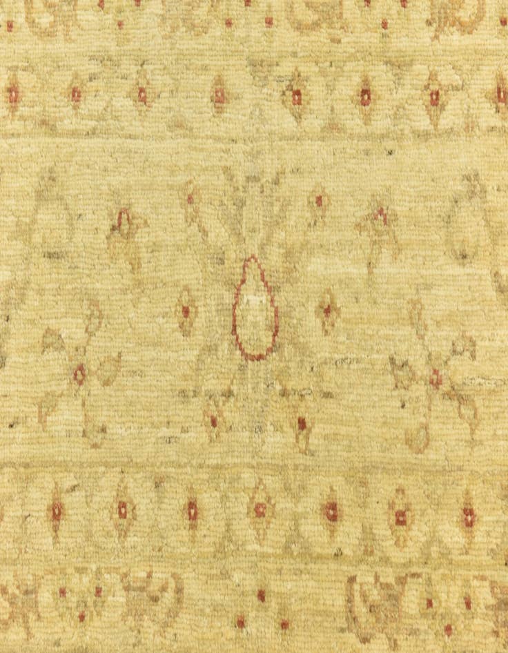 Detail image of  7' 1 x 10'  Hand Knotted Peshawar Ziegler Rug