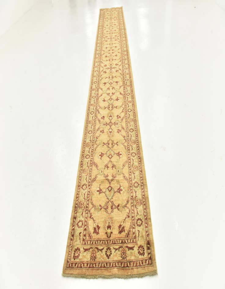 Detail image of  2' 9 x 17'  Hand Knotted Peshawar Ziegler Runner Rug