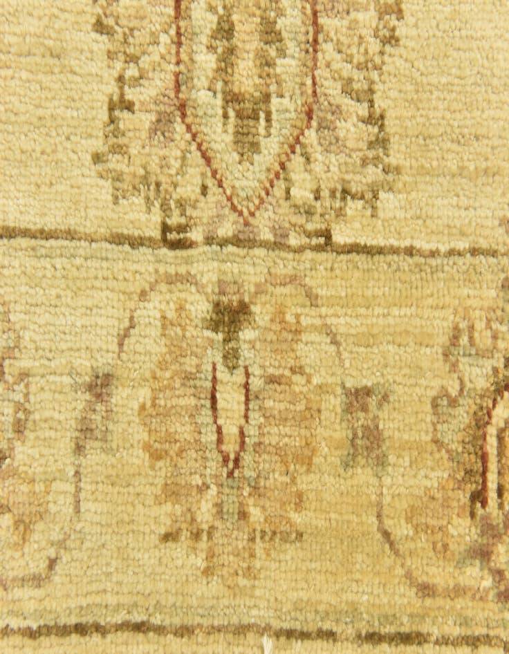 Detail image of  2' 6 x 11' 4  Hand Knotted Peshawar Ziegler Runner Rug