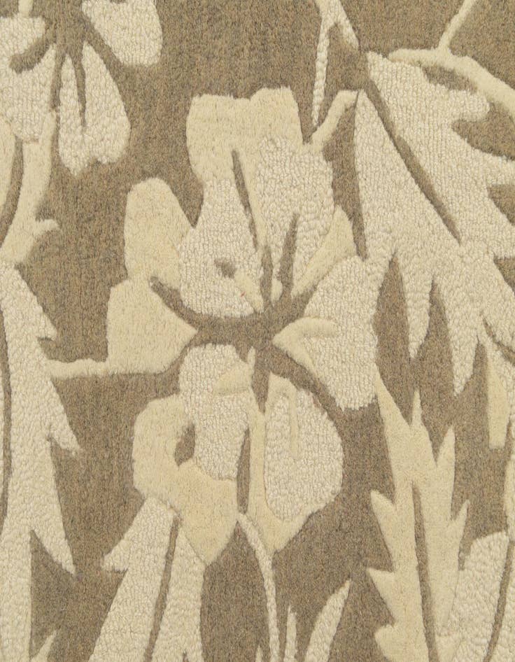 Detail image of  5' x 7' 5 Agra Wool Rug