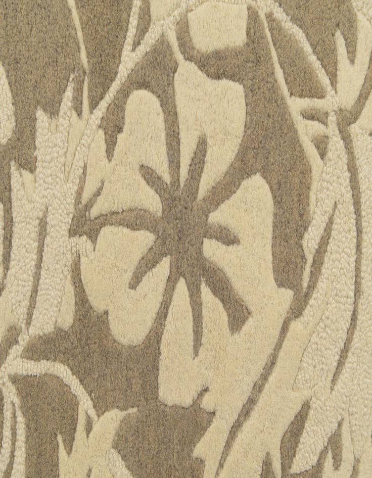 Detail image of  5' x 7' 5 Agra Wool Rug