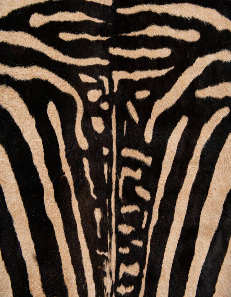 Detail image of  6' 2 x 6' 10 Cowhide Leather Freeform Rug