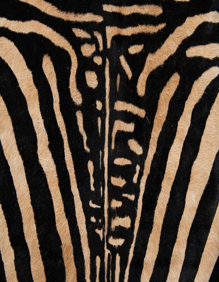 Detail image of  6' 6 x 7' Cowhide Leather Freeform Rug